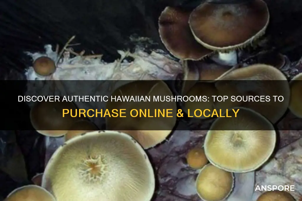 where can i buy hawaiian mushrooms