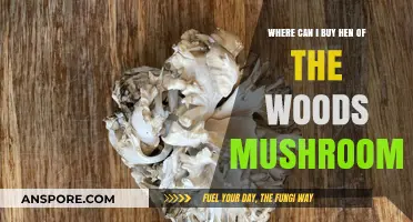 Where to Buy Hen of the Woods Mushrooms: A Comprehensive Guide