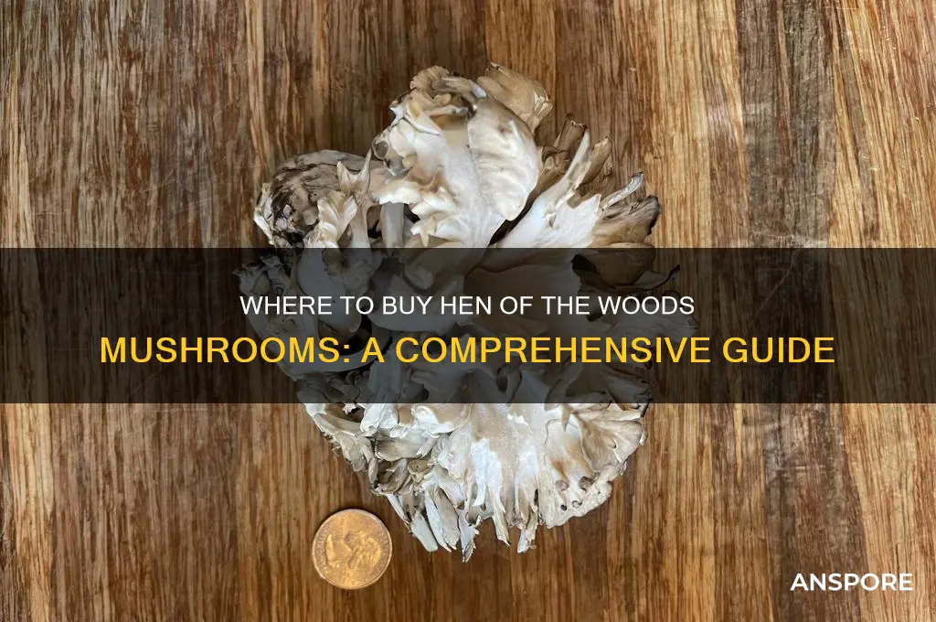 where can i buy hen of the woods mushrooms