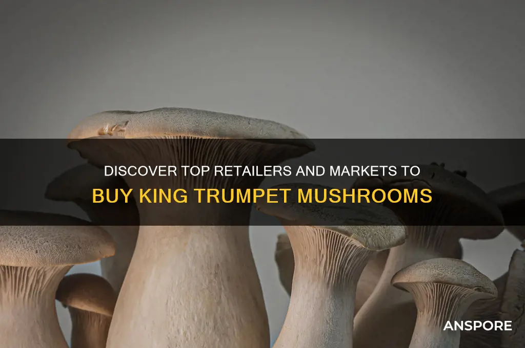 where can i buy king trumpet mushrooms