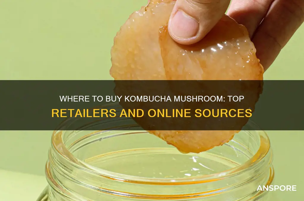 where can i buy kombucha mushroom