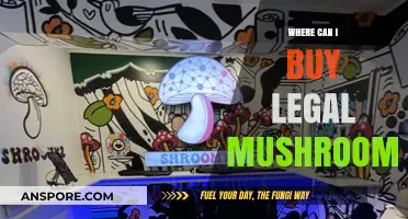 Legal Mushroom Shopping Guide: Where to Buy Safely and Legally