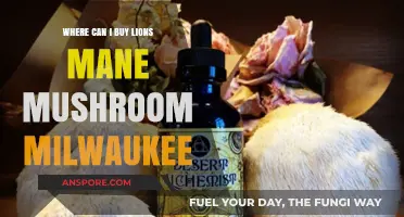 Where to Buy Lion's Mane Mushroom in Milwaukee: Top Spots