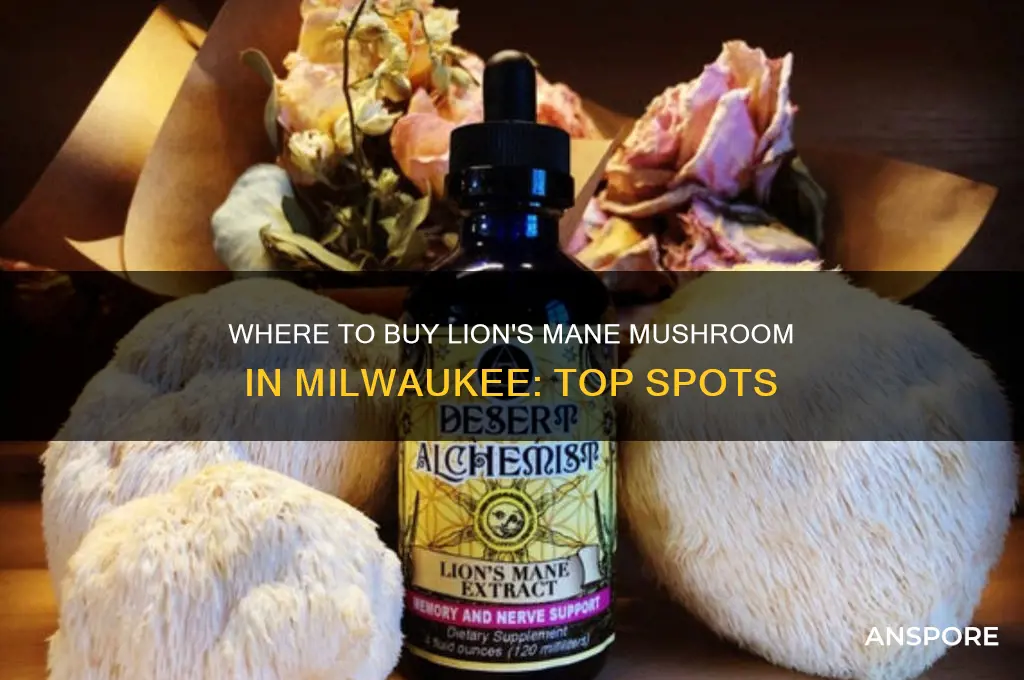 where can i buy lions mane mushroom milwaukee