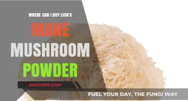 Discover Top Sources to Buy Lion's Mane Mushroom Powder Online
