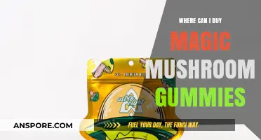 Where to Buy Magic Mushroom Gummies: A Comprehensive Guide