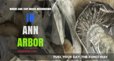 Where to Find Magic Mushrooms in Ann Arbor: A Guide