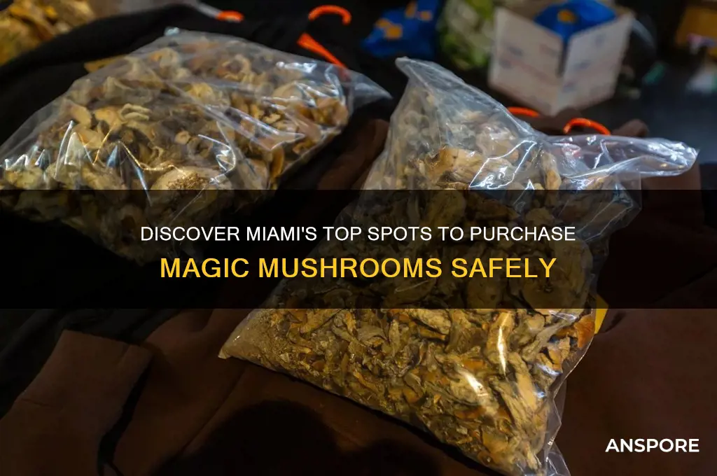 where can i buy magic mushrooms in miami