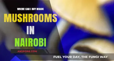 Where to Find Magic Mushrooms in Nairobi: A Comprehensive Guide