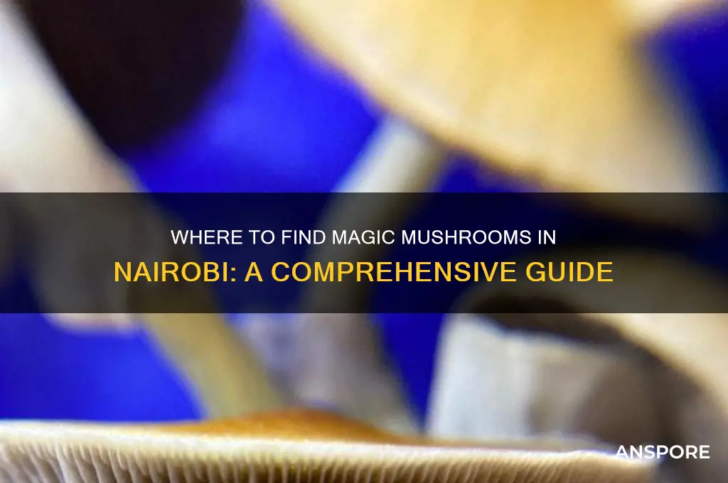 where can i buy magic mushrooms in nairobi
