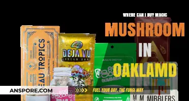 Where to Find Magic Mushrooms in Oakland: A Comprehensive Guide