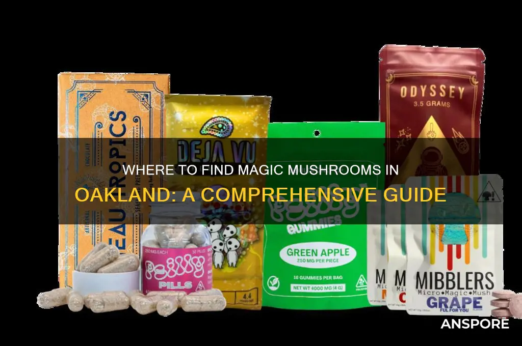 where can i buy magic mushrooms in oaklamd