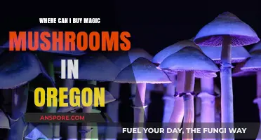 Where to Buy Magic Mushrooms in Oregon: A Legal Guide