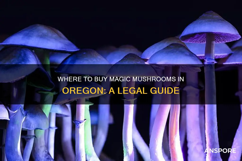 where can i buy magic mushrooms in oregon
