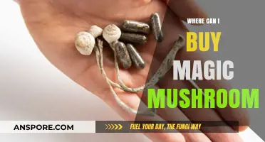 Discover Legal Sources: Where to Buy Magic Mushrooms Safely