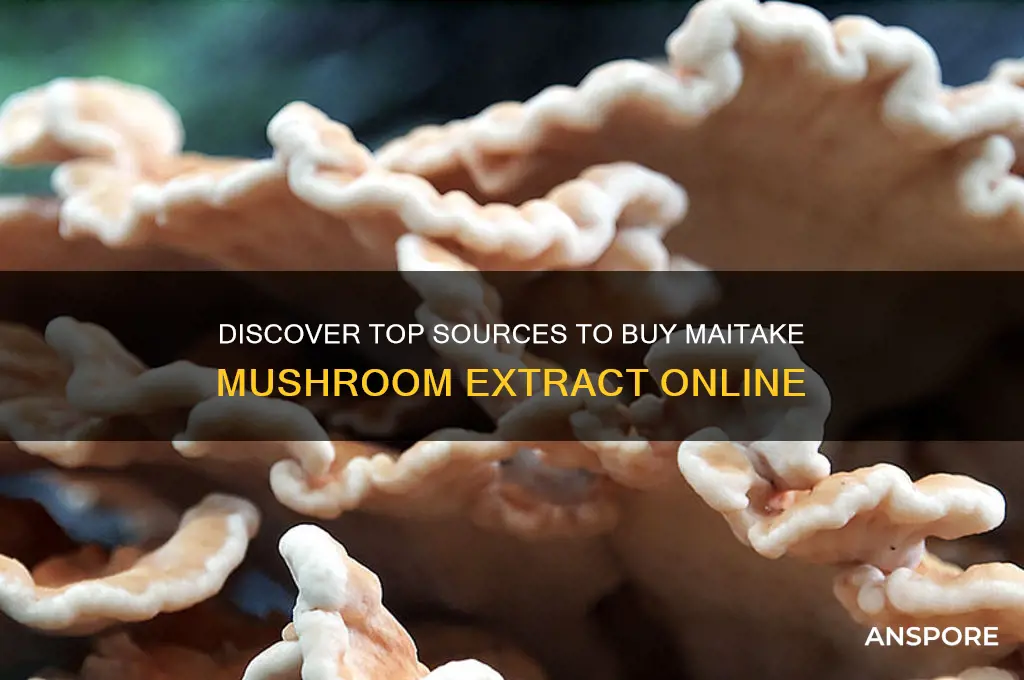 where can i buy maitake mushroom extract