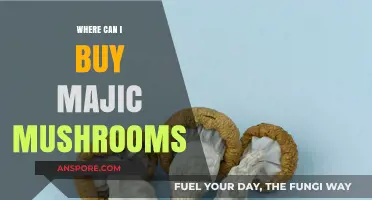 Discover Legal and Safe Sources to Buy Magic Mushrooms Online
