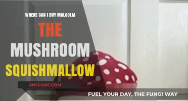 Where to Find Malcolm the Mushroom Squishmallow: Top Retailers