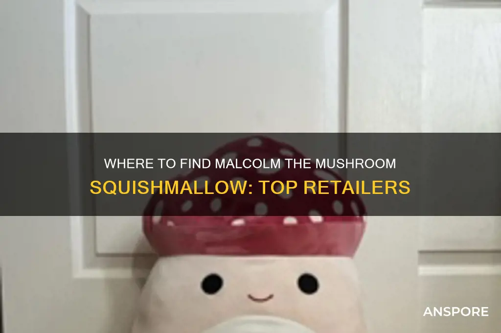 where can i buy malcolm the mushroom squishmallow