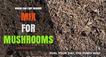 Best Places to Buy Manure Mix for Growing Mushrooms