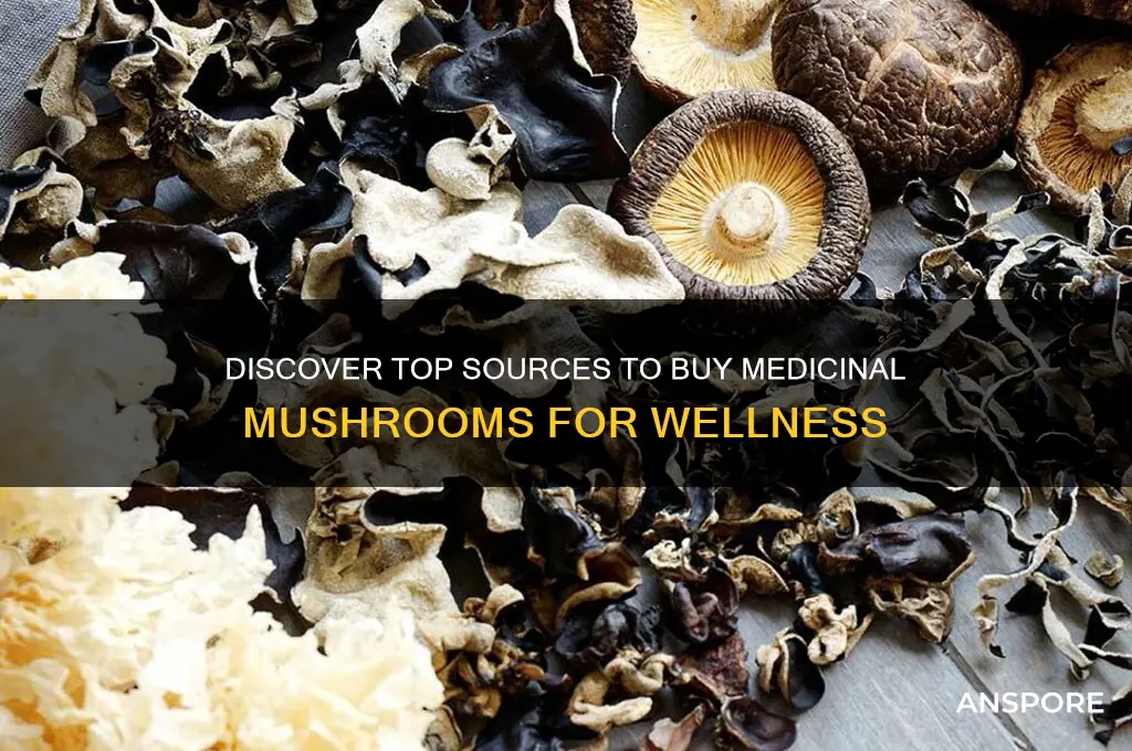 where can i buy medicinal mushrooms