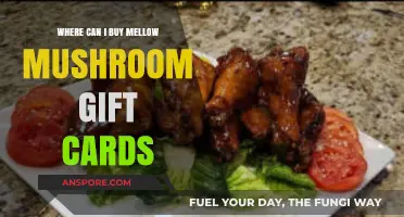 Where to Buy Mellow Mushroom Gift Cards: A Quick Guide