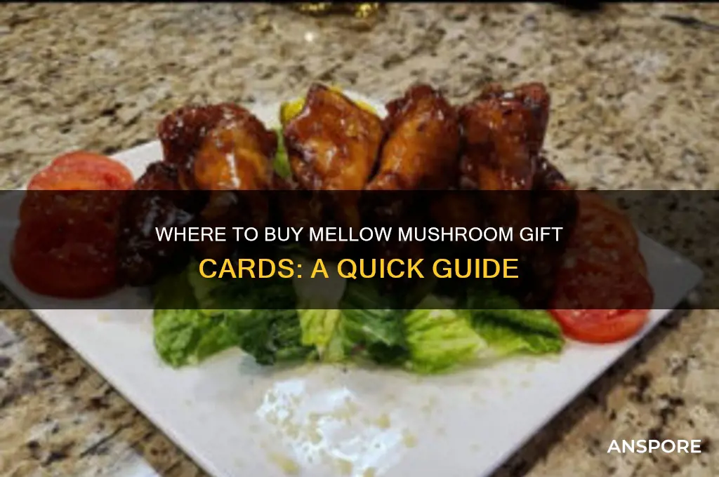 where can i buy mellow mushroom gift cards