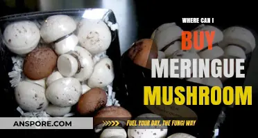Where to Buy Meringue Mushrooms: Top Retailers and Online Shops