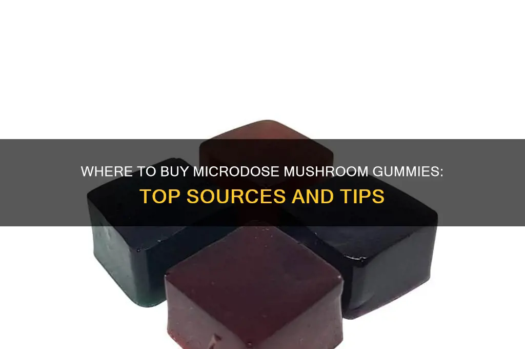 where can i buy microdose mushroom gummies