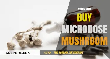 Where to Buy Microdose Mushrooms: A Comprehensive Guide for Beginners