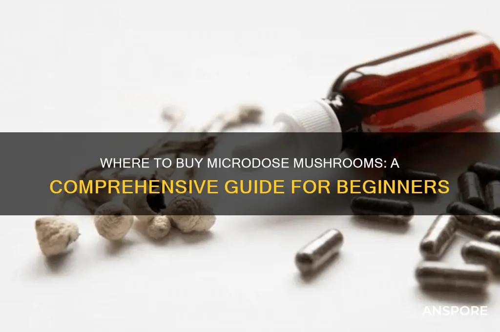 where can i buy microdose mushrooms
