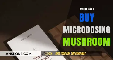Where to Buy Microdosing Mushrooms: A Comprehensive Guide