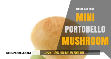 Where to Buy Mini Portobello Mushrooms: Top Retailers and Tips