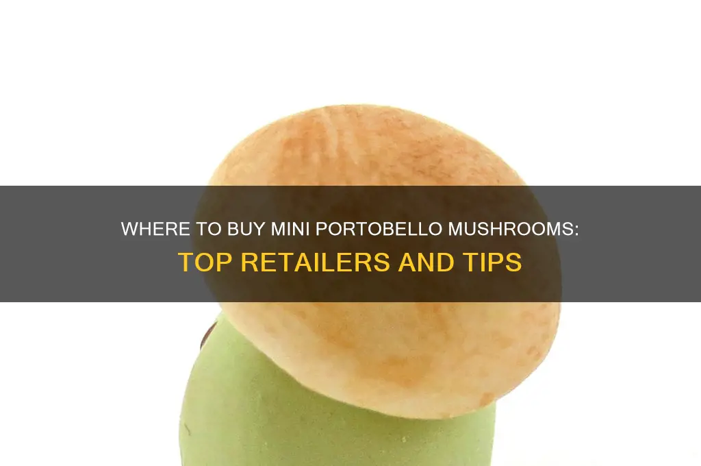 where can i buy mini portobello mushrooms