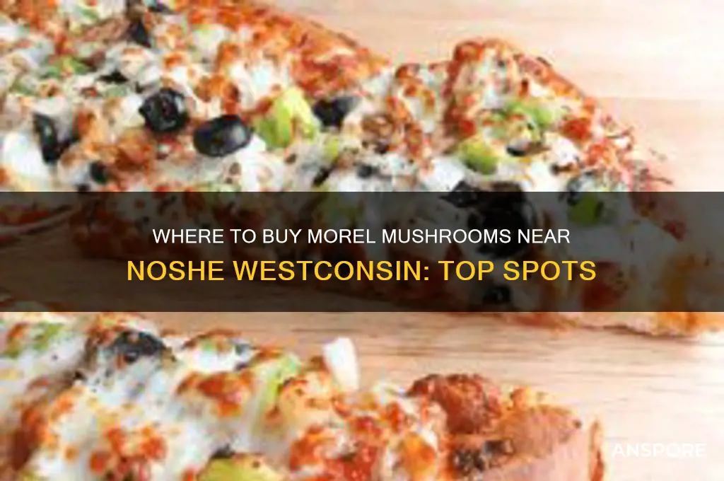 where can i buy morel mushrooms by to noshe westconsin