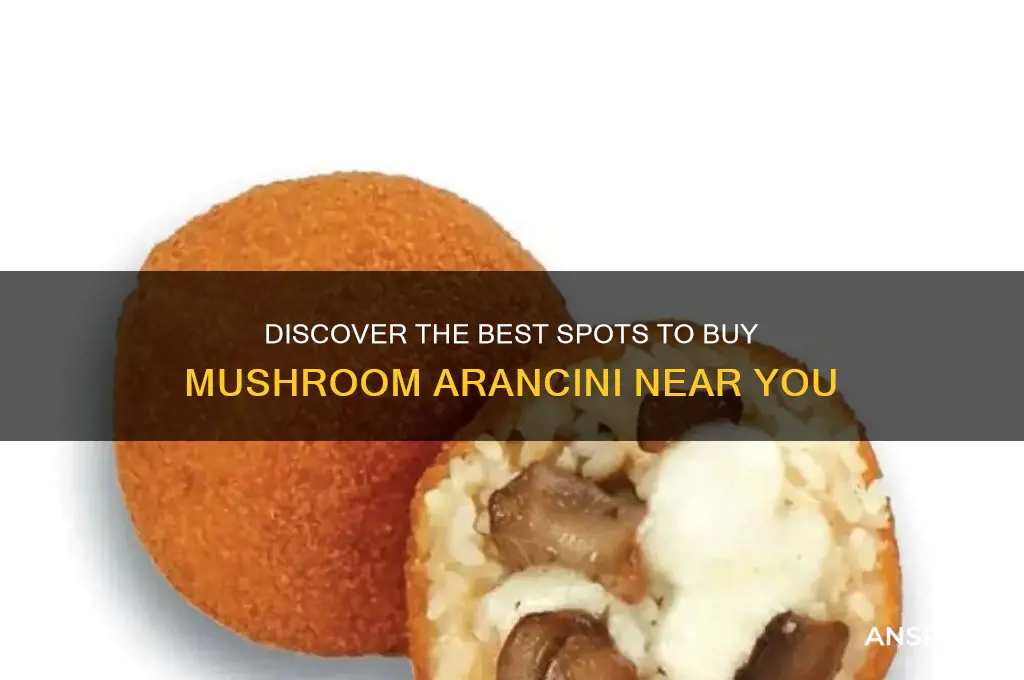 where can i buy mushroom arancini