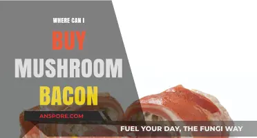 Discover Top Retailers and Online Stores for Mushroom Bacon Purchases