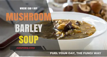 Discover the Best Places to Buy Mushroom Barley Soup Today