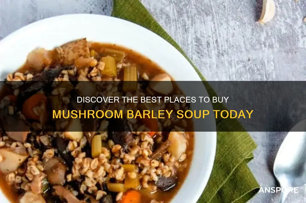 where can i buy mushroom barley soup