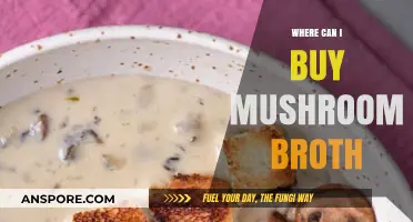 Discover the Best Places to Buy Mushroom Broth Online and Locally