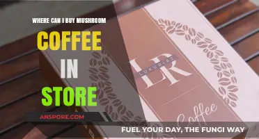 Discover Mushroom Coffee: Top Retail Stores to Buy In-Person
