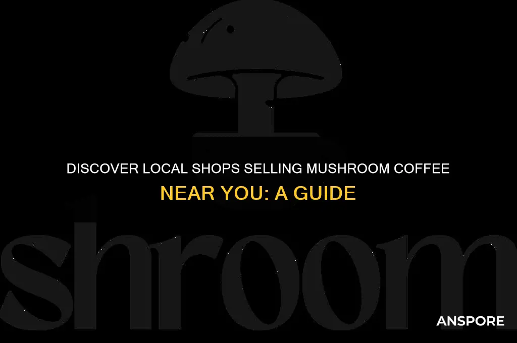 where can i buy mushroom coffee locally