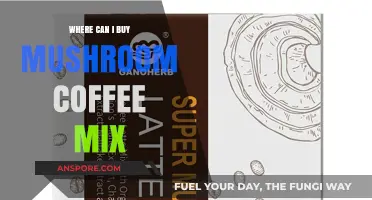 Discover the Best Places to Buy Mushroom Coffee Mix Online