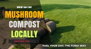 Find Mushroom Compost Near You: Local Buying Guide & Tips