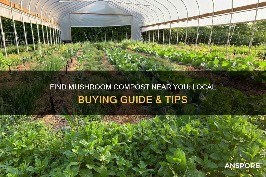 where can i buy mushroom compost locally