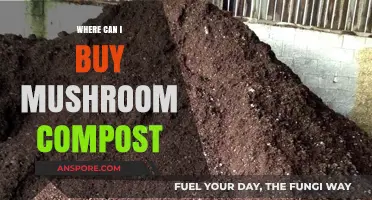 Best Places to Purchase High-Quality Mushroom Compost for Your Garden