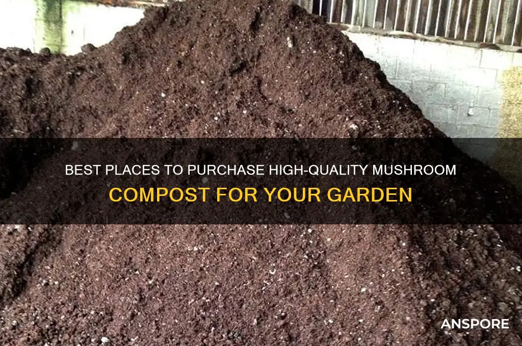 where can i buy mushroom compost