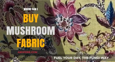 Discover Sustainable Mushroom Fabric: Top Retailers and Online Stores