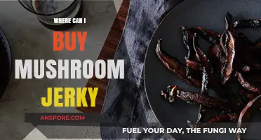 Discover the Best Places to Buy Mushroom Jerky Online & Locally