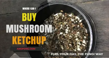 Discover the Best Places to Buy Mushroom Ketchup Online & In-Store